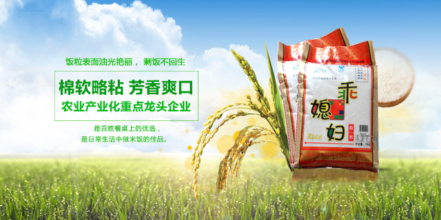 益阳稻谷收购,益阳稻谷储存,益阳稻谷销售—益阳市金典粮食购销有限公司