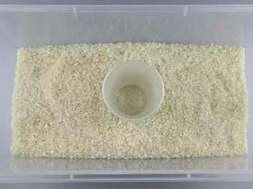 益阳稻谷收购,益阳稻谷储存,益阳稻谷加工,益阳稻谷销售,益阳优质稻开发 益阳稻谷收购,益阳稻谷储存,益阳稻谷加工,益阳稻谷销售,益阳优质稻开发
